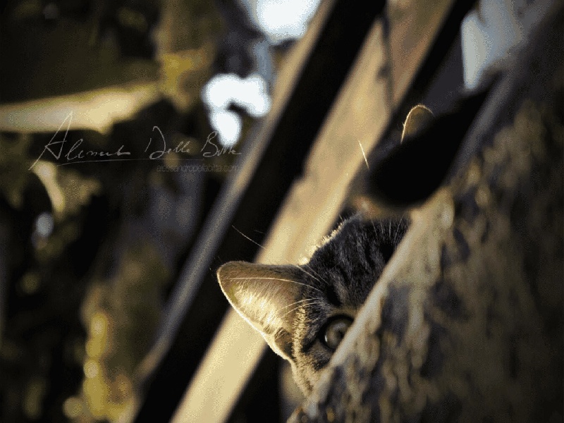 试管有问题的,成都环球试管医院