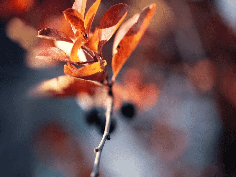 中山试管董医生,试管产妇走特需