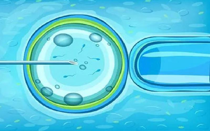 试管移植后不长代生